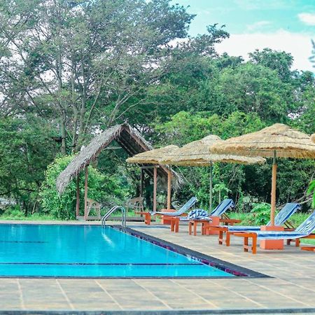Sigiriya Peacock Homestay Dış mekan fotoğraf