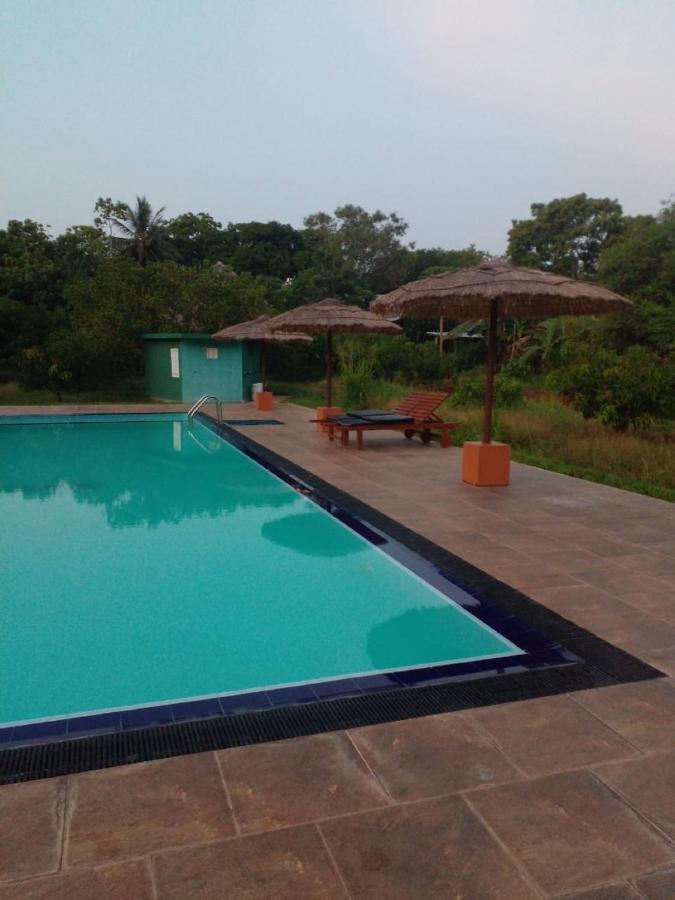 Sigiriya Peacock Homestay Dış mekan fotoğraf