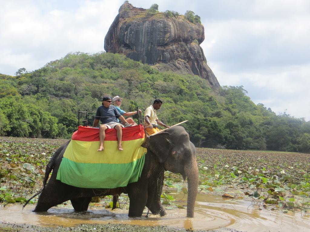 Sigiriya Peacock Homestay Dış mekan fotoğraf