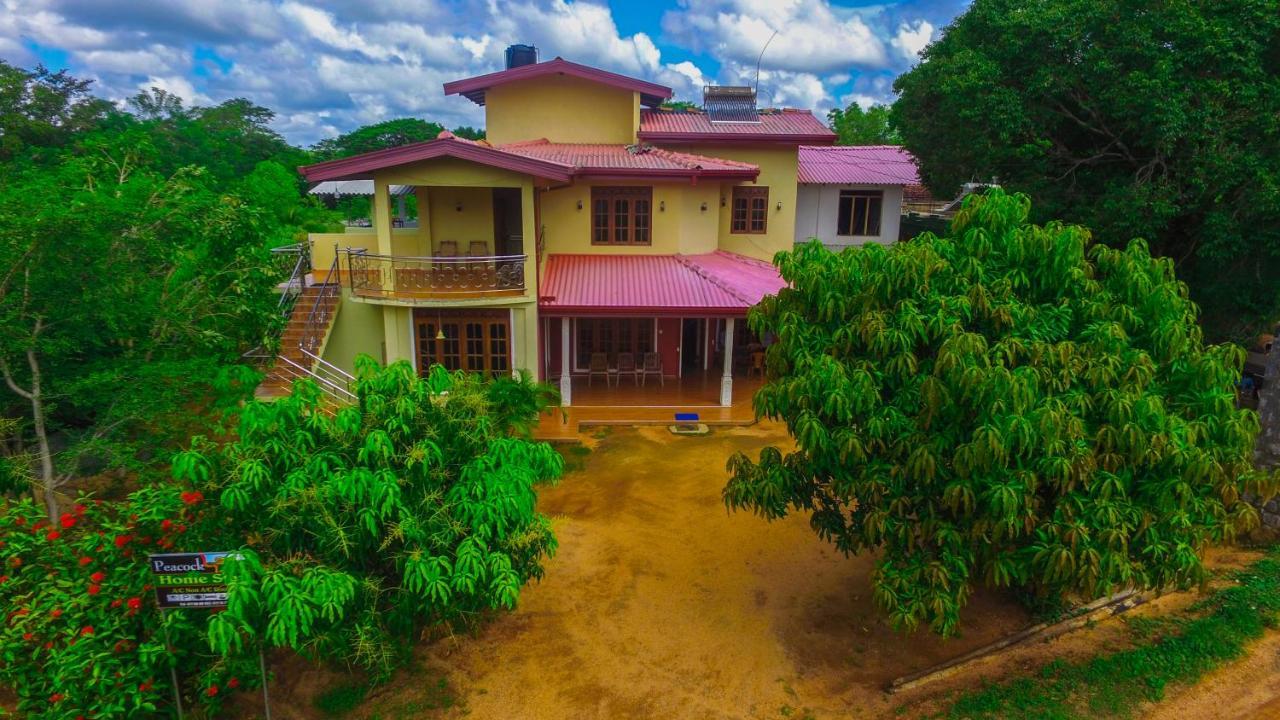Sigiriya Peacock Homestay Dış mekan fotoğraf
