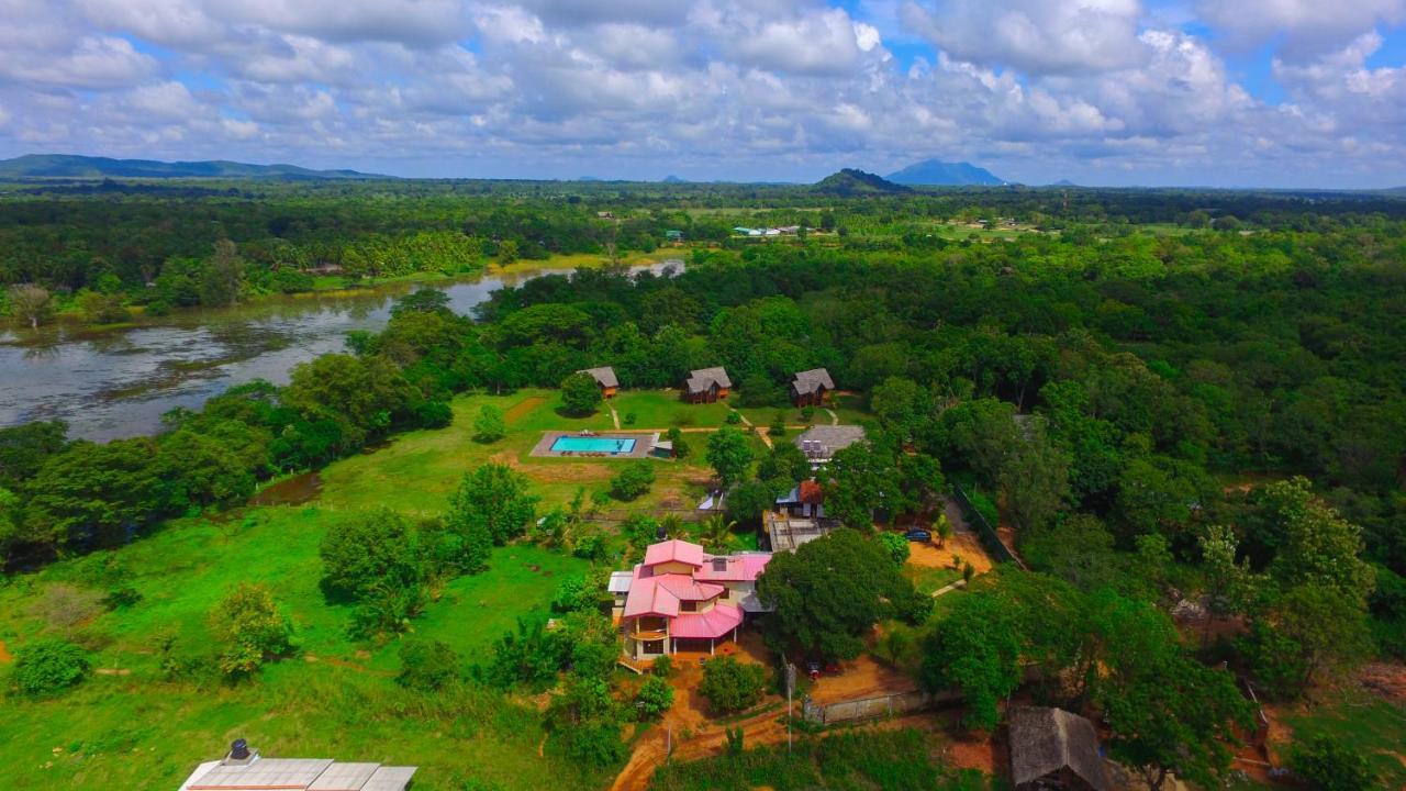 Sigiriya Peacock Homestay Dış mekan fotoğraf